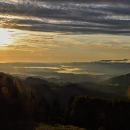 Kochs Beeren Oberfresen