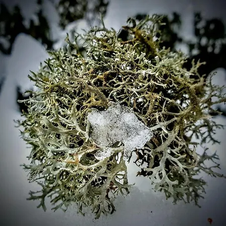 Kochs Beeren شقة Oberfresen