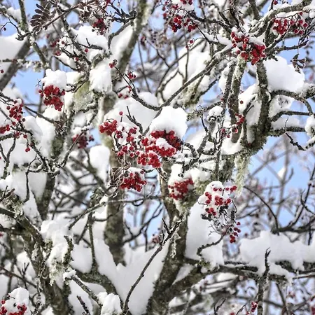Kochs Beeren شقة Oberfresen