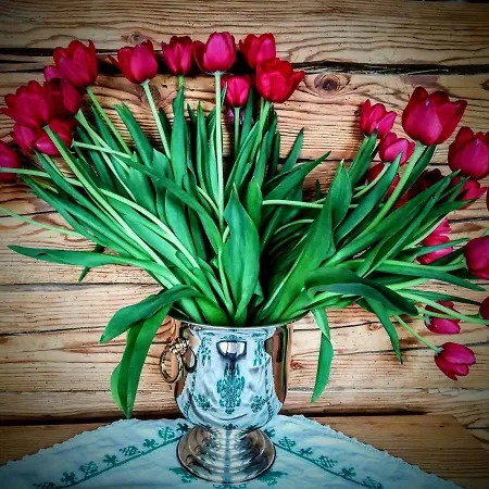 Kochs Beeren Oberfresen