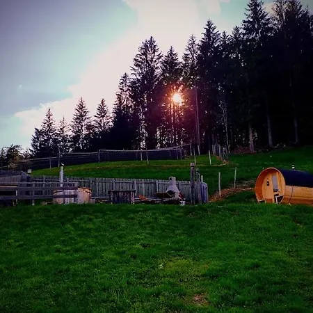 Kochs Beeren Oberfresen