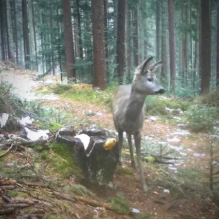 شقة Kochs Beeren Oberfresen