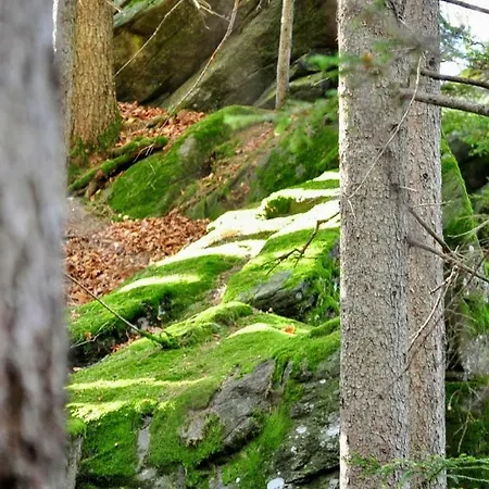 Kochs Beeren * Oberfresen