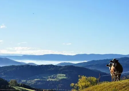 Apartment Kochs Beeren *