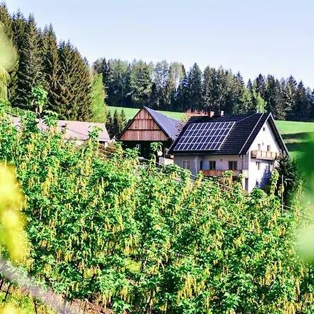 Kochs Beeren Apartment *