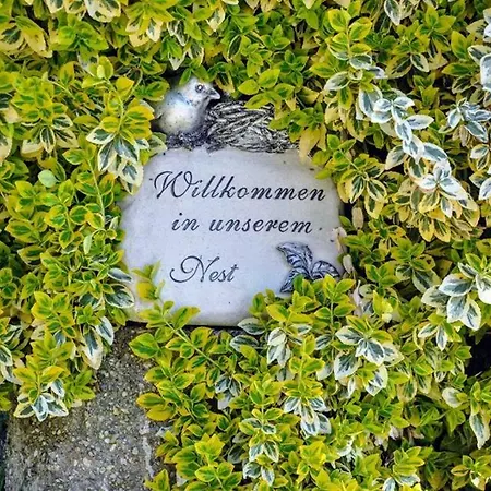 Kochs Beeren * Oberfresen