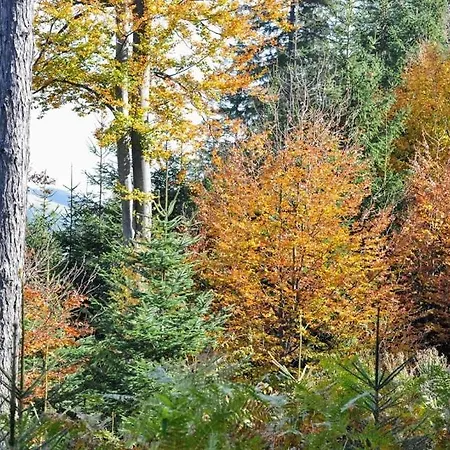 شقة Kochs Beeren *