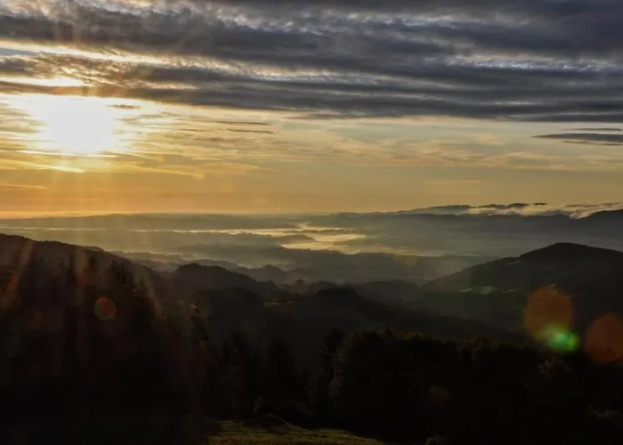Kochs Beeren Oberfresen