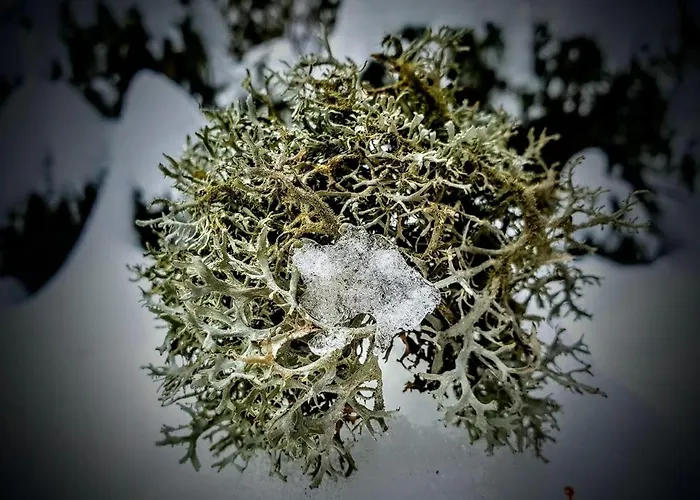 Kochs Beeren Lägenhet Oberfresen