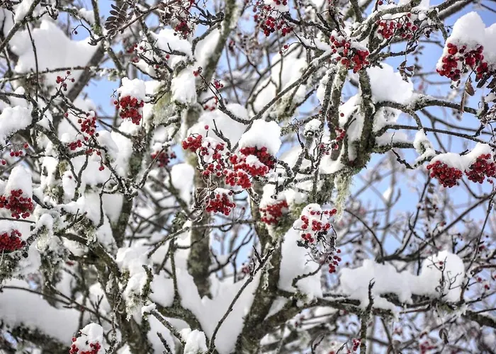 Kochs Beeren Lägenhet Oberfresen