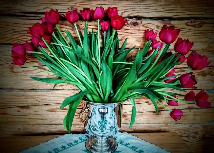 Kochs Beeren Oberfresen