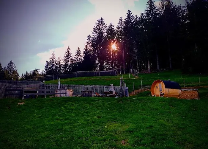 Kochs Beeren Oberfresen