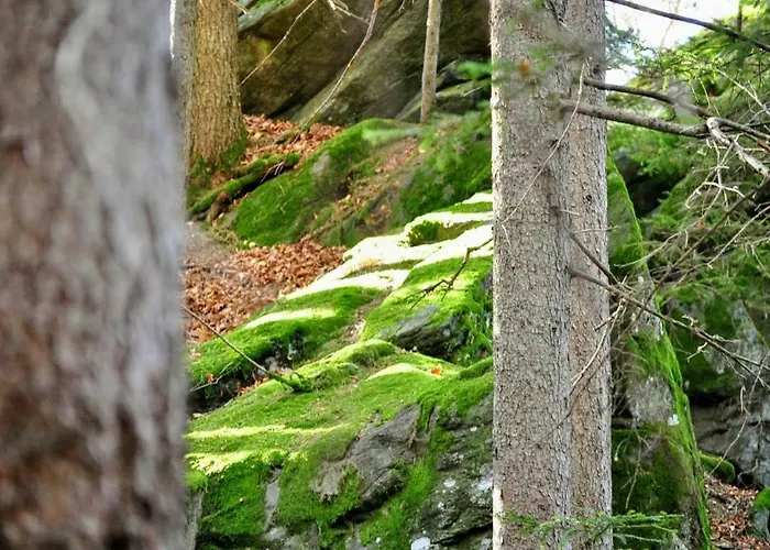 Kochs Beeren * Oberfresen