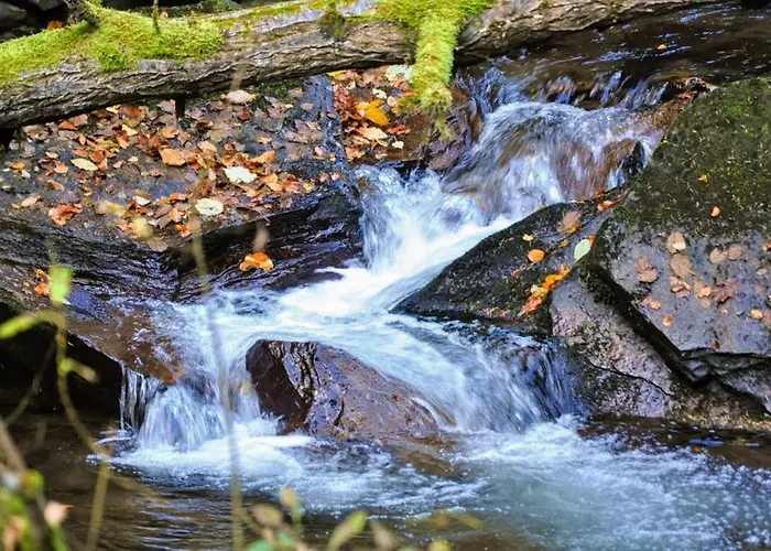 Kochs Beeren Lägenhet