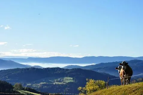 Lägenhet Kochs Beeren *