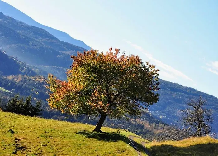 Lägenhet Kochs Beeren