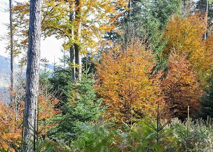 Lägenhet Kochs Beeren *